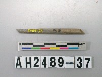 藏品(磨製石針)的圖片